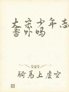 大宋少年志2有番外吗