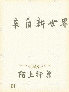 来自新世界小说封面