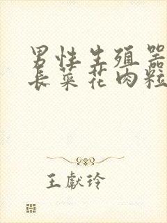 男性生殖器上面长菜花肉粒封面