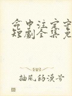 命中注定守护你短剧全集免费观看