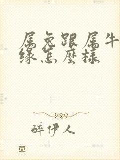 属兔跟属牛的姻缘怎么样封面