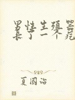 男性生殖器根部长了一个疙瘩是怎么回事封面