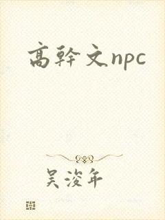 高干文npc封面