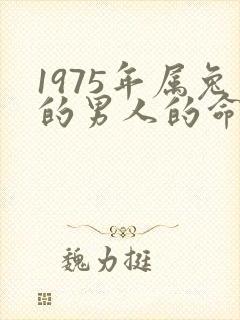 1975年属兔的男人的命运怎么样