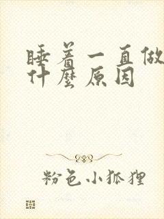 睡着一直做梦是什么原因