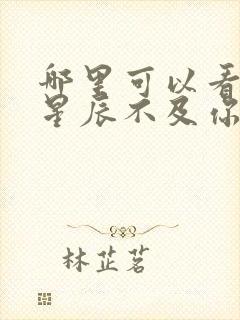 哪里可以看亿万星辰不及你全文