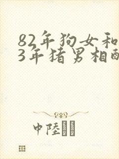82年狗女和83年猪男相配婚姻如何