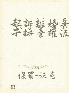 起诉离婚争夺孩子抚养权流程