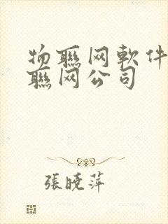 物联网软件开发联网公司