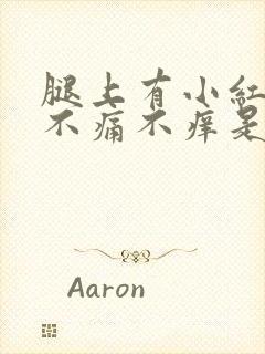 腿上有小红疙瘩不痛不痒是怎么回事