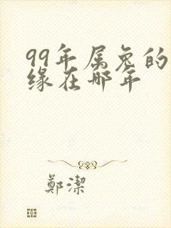 99年属兔的姻缘在哪年