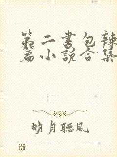 第二书包辣网短篇小说合集