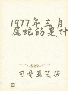 1977年三月属蛇的是什么命封面