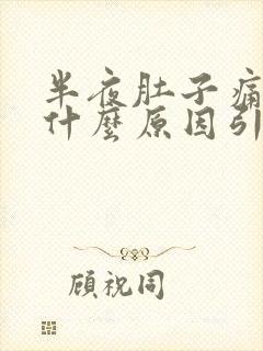 半夜肚子痛想吐什么原因引起的封面