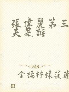 张伟丽第三任丈夫是谁