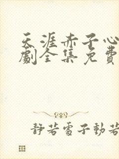 天涯赤子心电视剧全集免费观看完整版