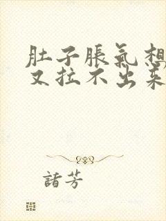 肚子胀气想拉屎又拉不出来