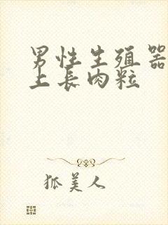 男性生殖器口边上长肉粒