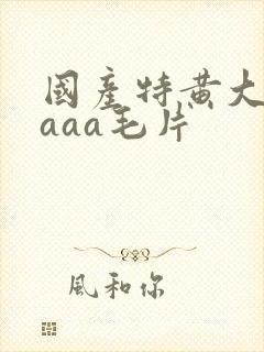 国产特黄大片aaaa毛片