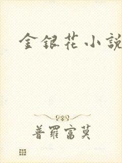 金银花小说乐可