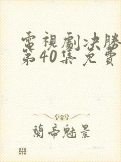 电视剧决胜法庭第40集免费