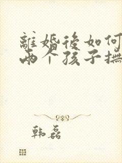 离婚后如何争取两个孩子抚养权封面