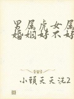 男属虎女属蛇的婚姻好不好