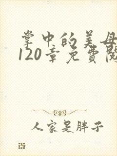 掌中的美母版主120章免费阅读封面