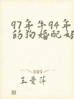 97年牛94年的狗婚配好不好封面