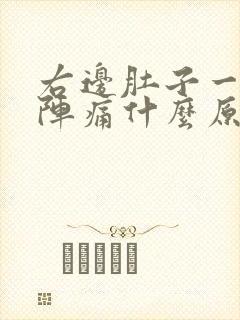 右边肚子一阵一阵痛什么原因