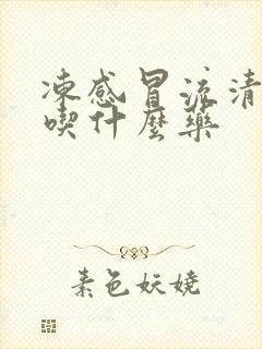 冻感冒流清鼻涕吃什么药