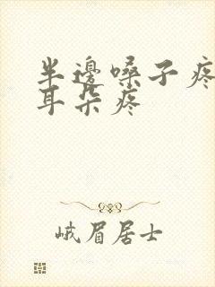 半边嗓子疼牙疼耳朵疼封面