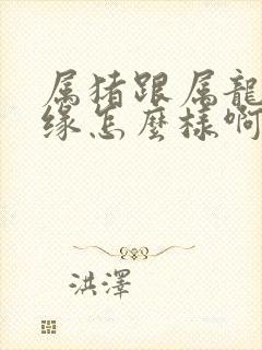 属猪跟属龙的姻缘怎么样啊