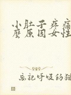 小肚子疼痛是什么原因女性