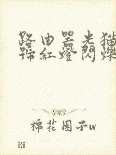 路由器光猫光信号红灯闪烁封面