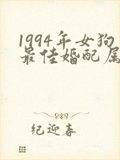 1994年女狗最佳婚配属相封面