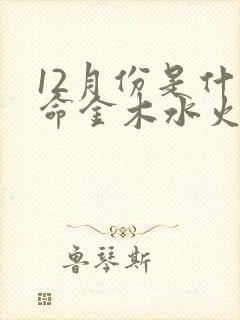 12月份是什么命金木水火土
