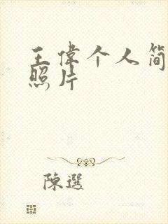 王伟个人简历和照片