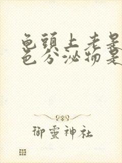 龟头上老是有白色分泌物是怎么回事封面