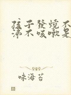 孩子发烧不流鼻涕不咳嗽是什么原因