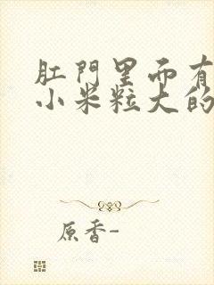 肛门里面有一个小米粒大的硬疙瘩封面