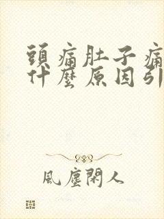 头痛肚子痛想吐什么原因引起的