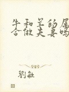 牛和羊的属相适合做夫妻吗