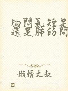 胸闷气短是心脏还是肺的问题