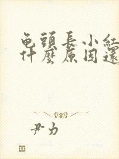 龟头长小红点是什么原因还痒