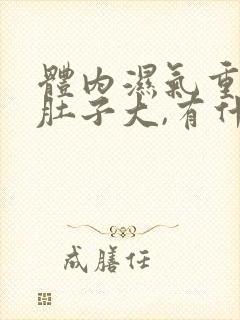 体内湿气重导致肚子大,有什么办法解决