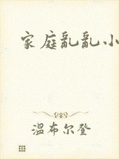 家庭乱乱小说封面