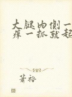 大腿内侧一热就痒一抓就起疙瘩