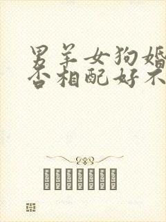 男羊女狗婚姻是否相配好不好