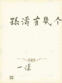 孙涛有几个妻子封面